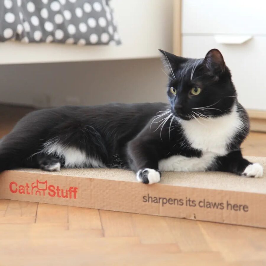 Catnip Scented Cat Scratcher / 55 x 33 x 5 cm