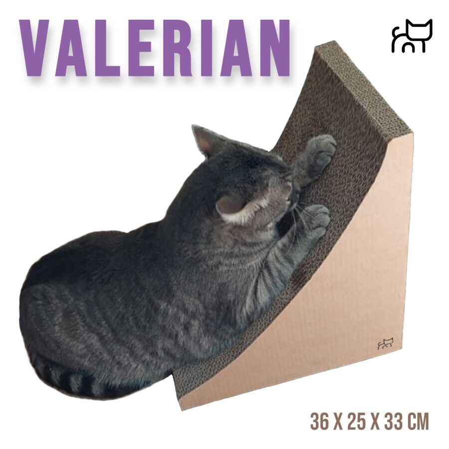 Valerijono kvapo Cat Stuff® draskyklė